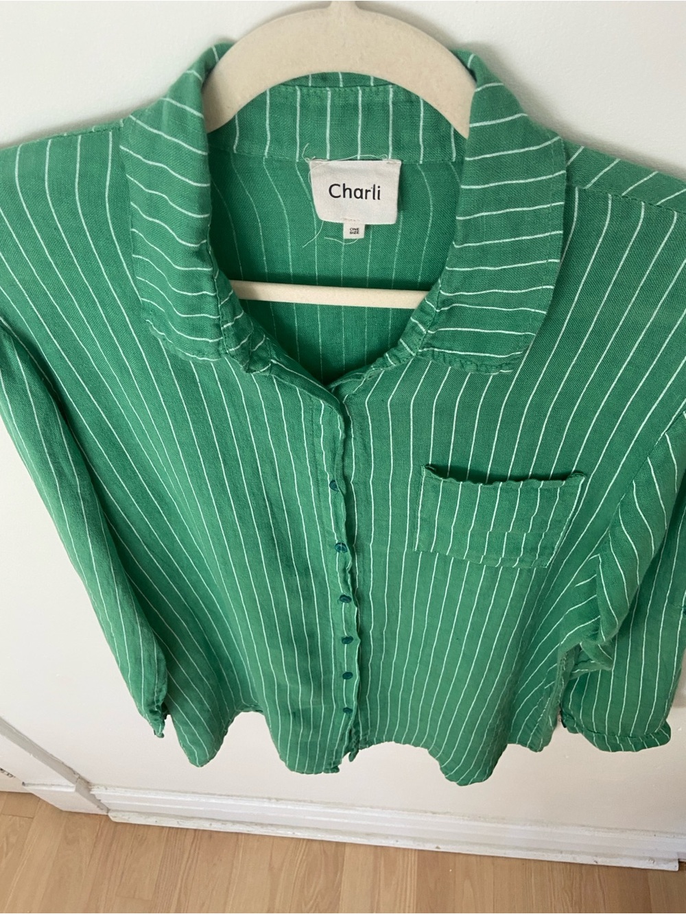 Charli Linen Provence Button Up Shirt in Green One Size Oversized - Picture 5 of 11